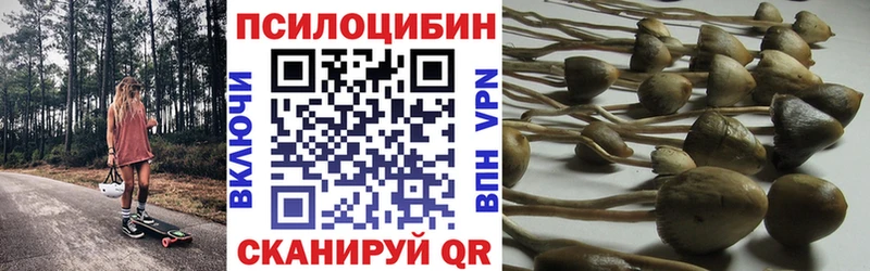 OMG рабочий сайт  Мончегорск  Псилоцибиновые грибы GOLDEN TEACHER 